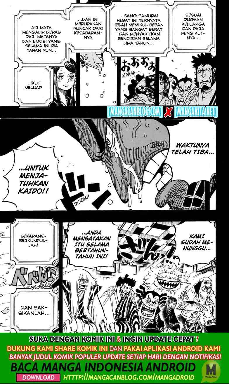 One Piece — Chapter 969.5, halaman 14