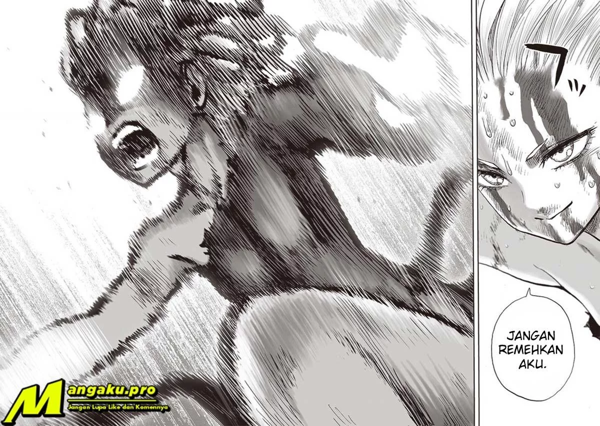 One Punch Man — Chapter 185, halaman 23