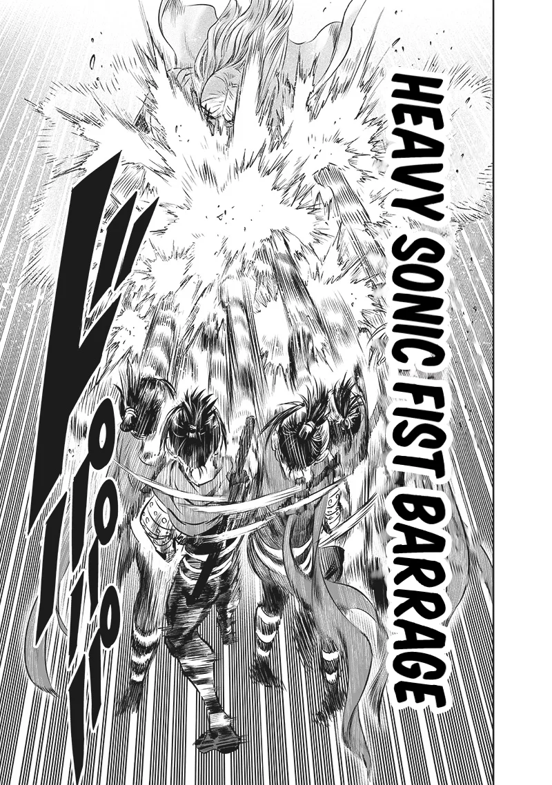 One Punch Man — Chapter 246, halaman 13