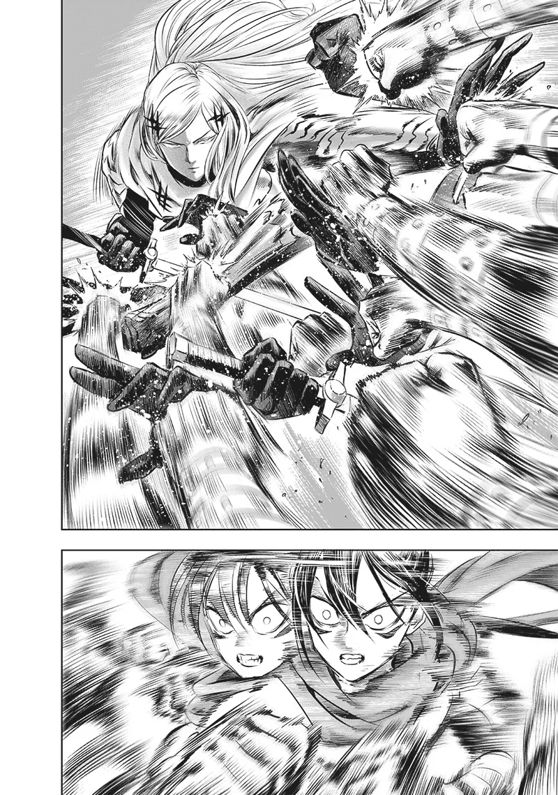 One Punch Man — Chapter 246, halaman 14