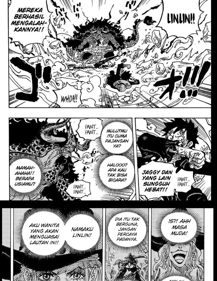 One Piece — Chapter 1041, halaman 17