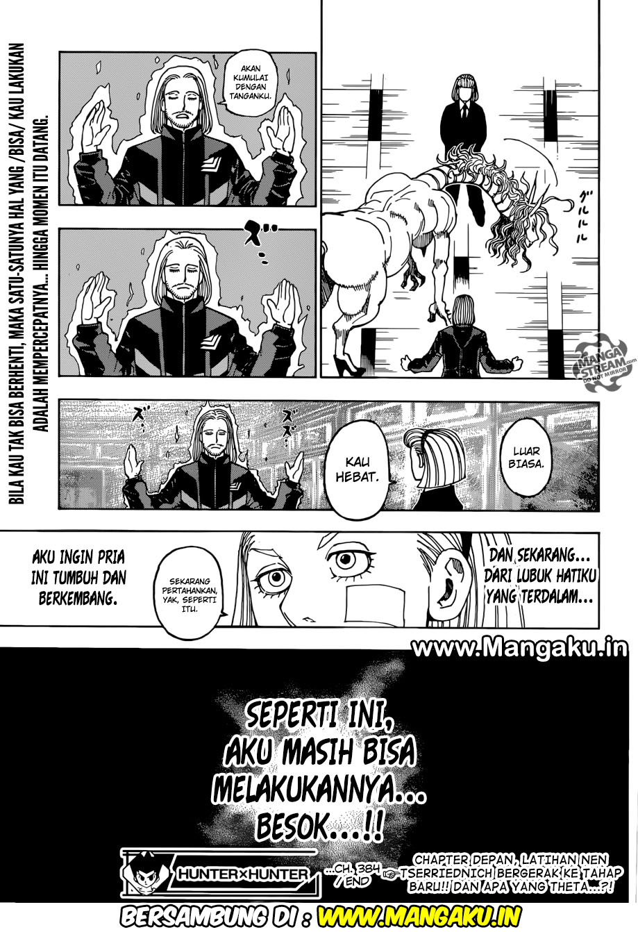 Hunter x Hunter — Chapter 384, halaman 17