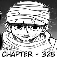 Hunter x Hunter — Chapter 325, halaman 19