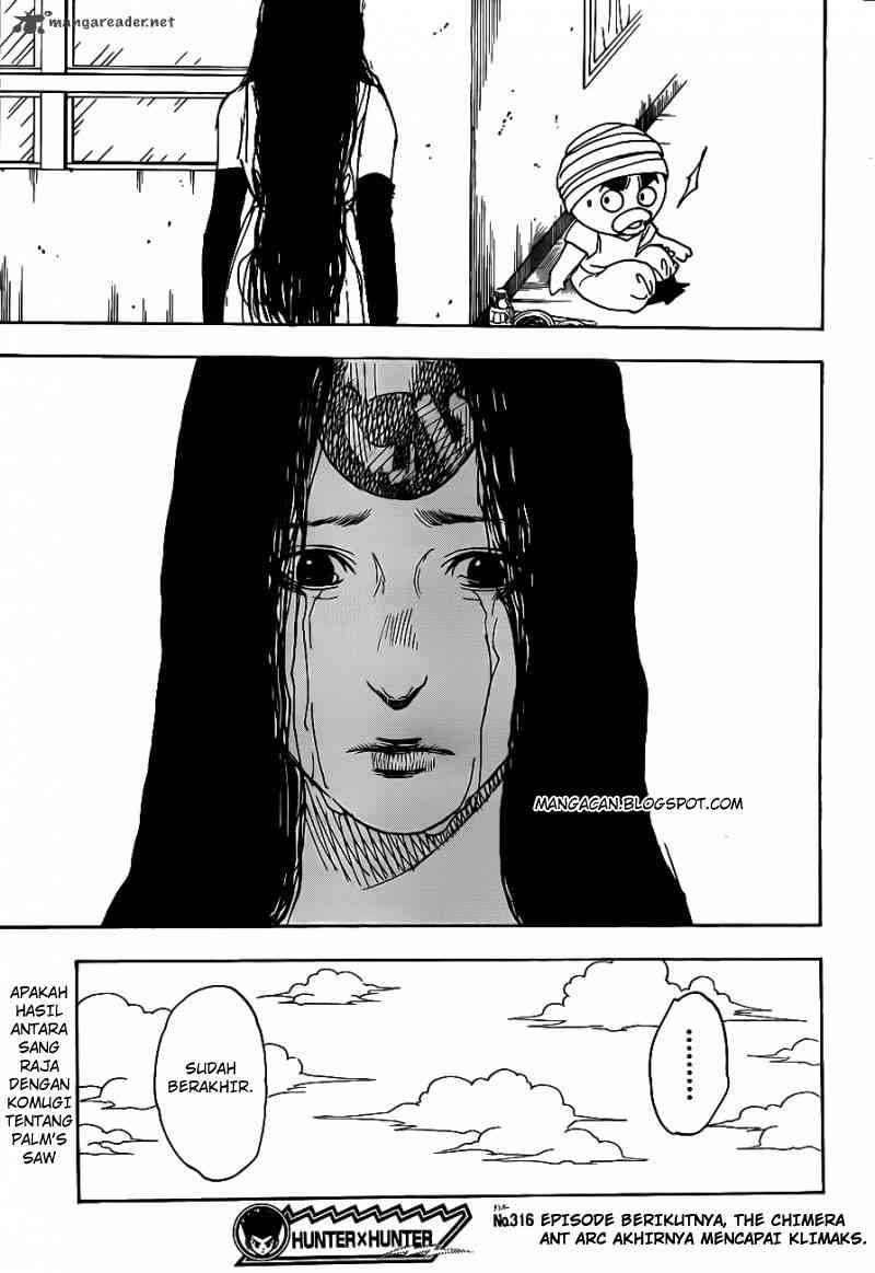 Hunter x Hunter — Chapter 316, halaman 19