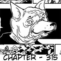 Hunter x Hunter — Chapter 315, halaman 20