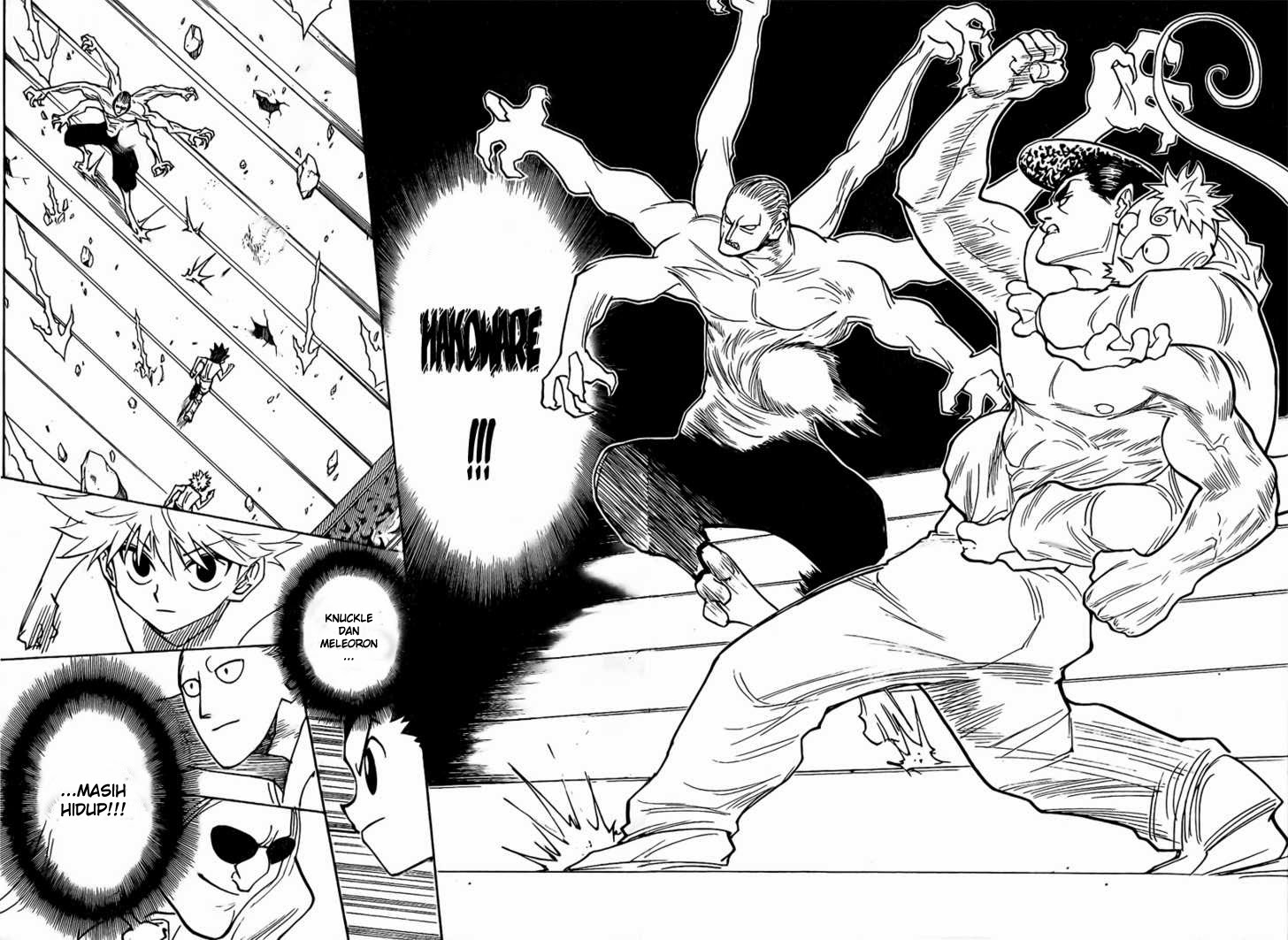 Hunter x Hunter — Chapter 266, halaman 16