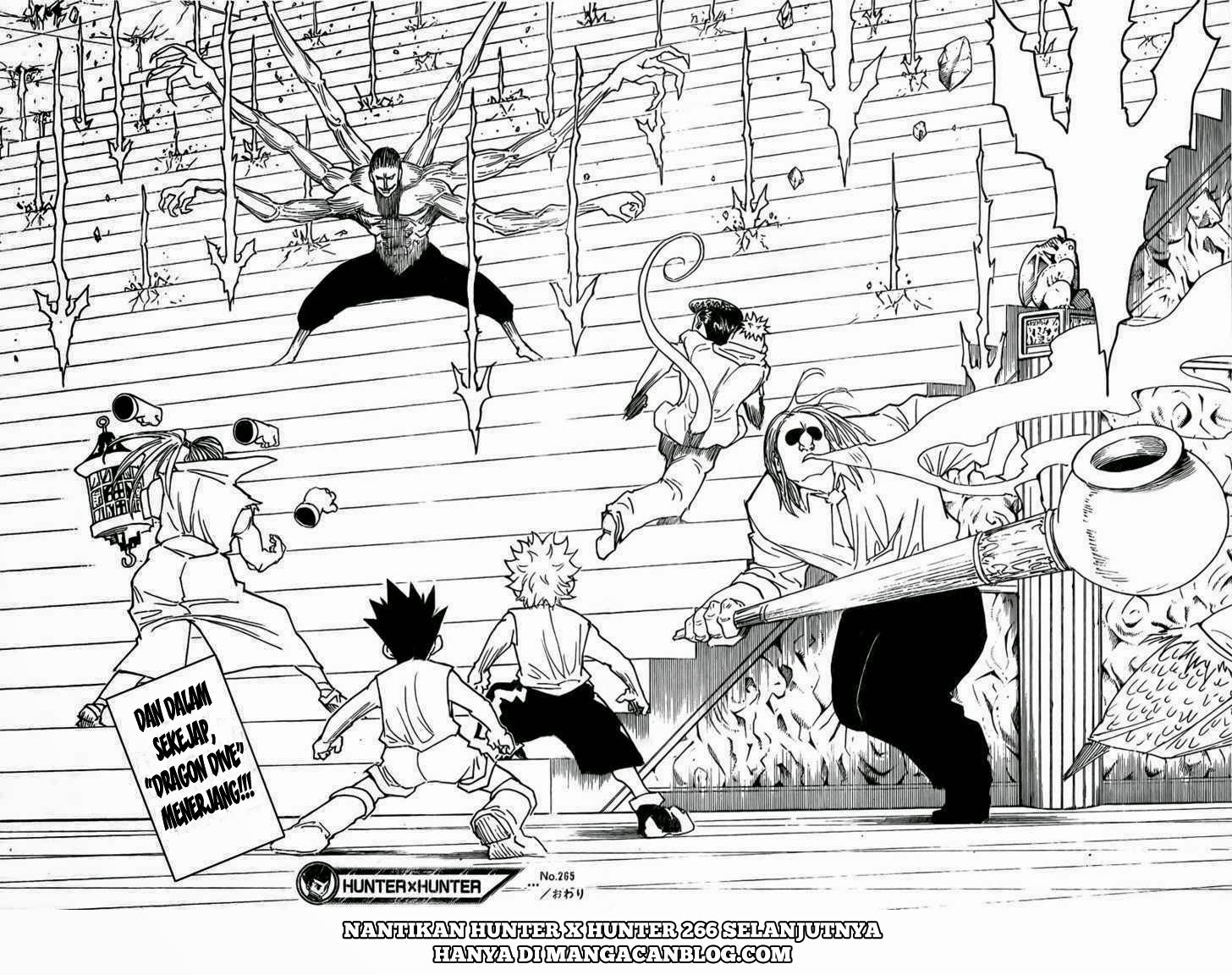 Hunter x Hunter — Chapter 265, halaman 16