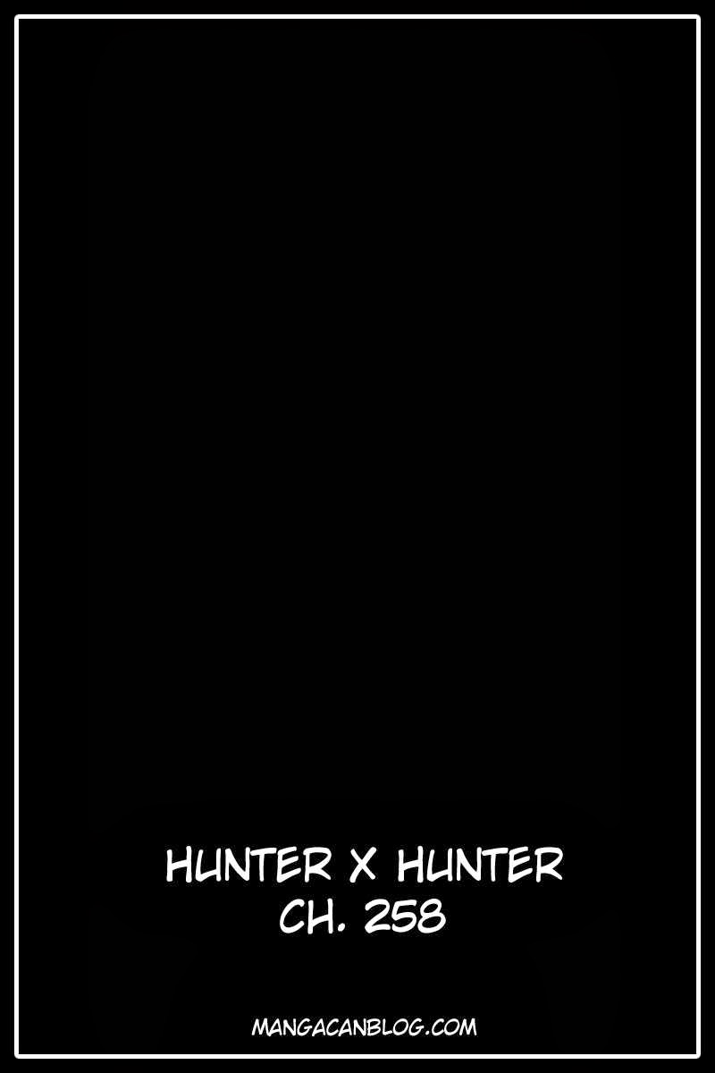 Hunter x Hunter — Chapter 258, halaman 17