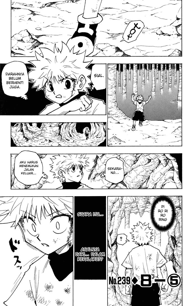 Hunter x Hunter — Chapter 239, halaman 1
