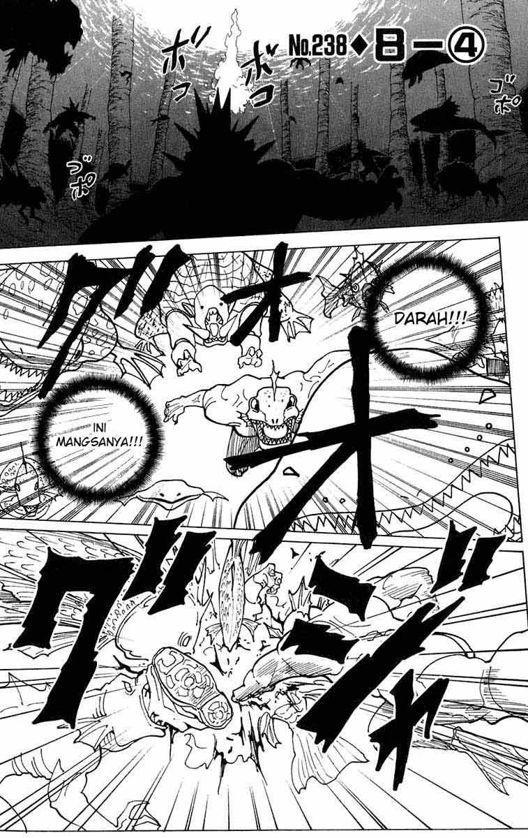 Hunter x Hunter — Chapter 238, halaman 1
