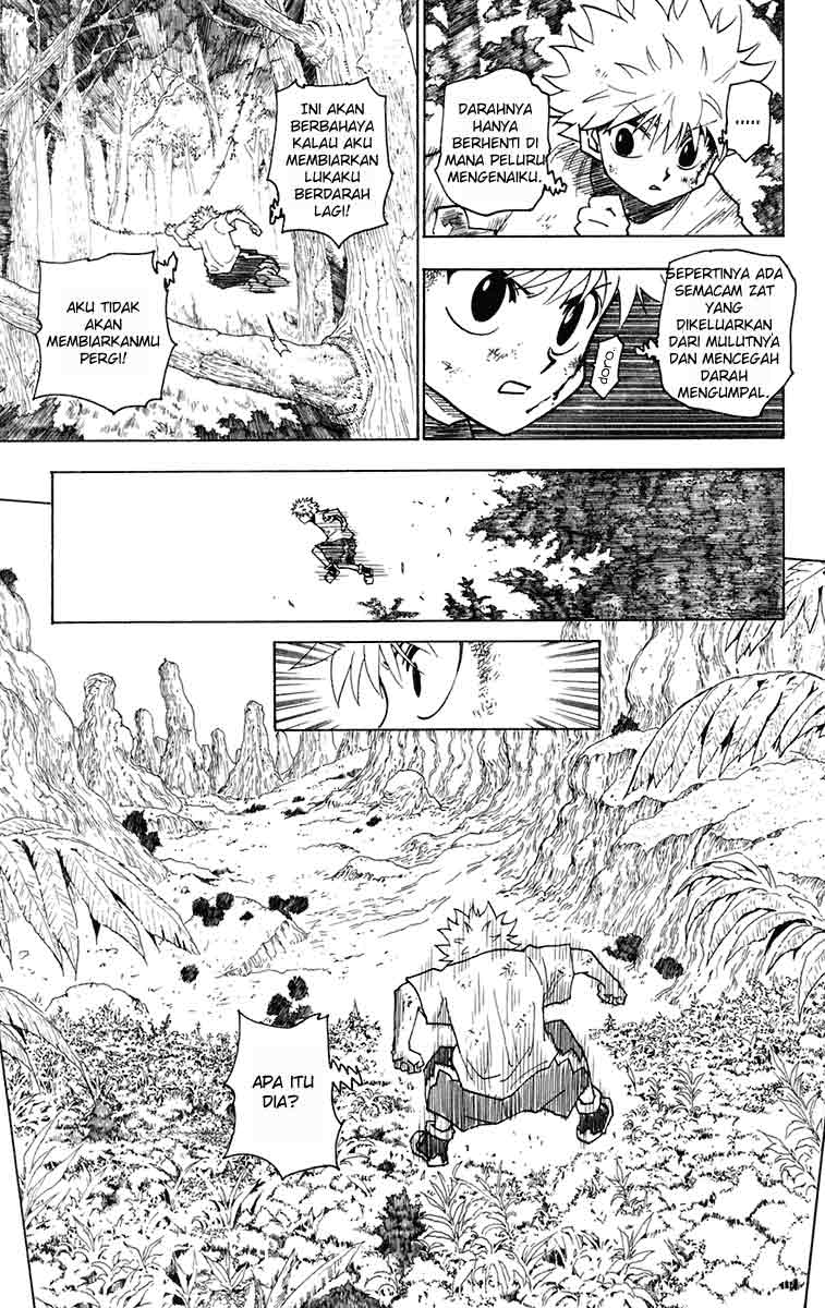 Hunter x Hunter — Chapter 237, halaman 10
