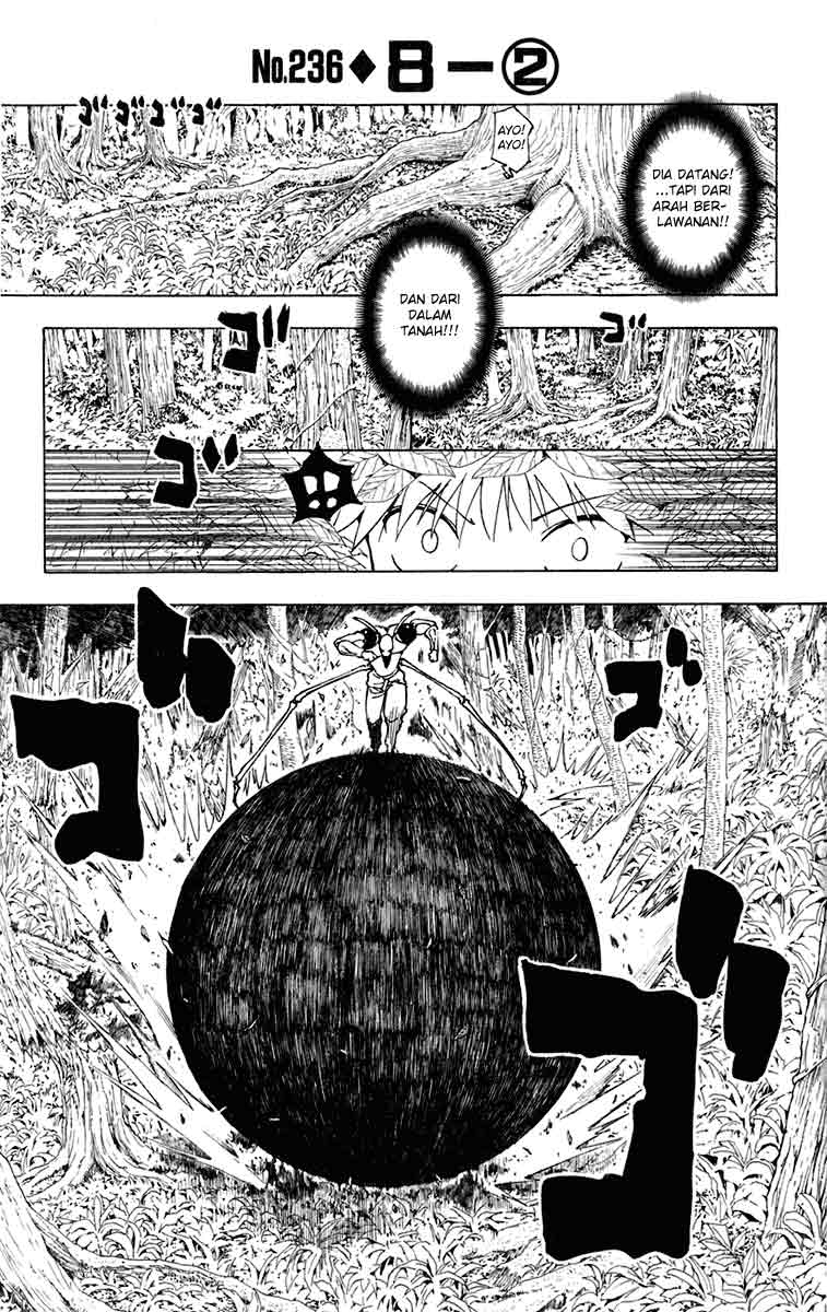 Hunter x Hunter — Chapter 236, halaman 1