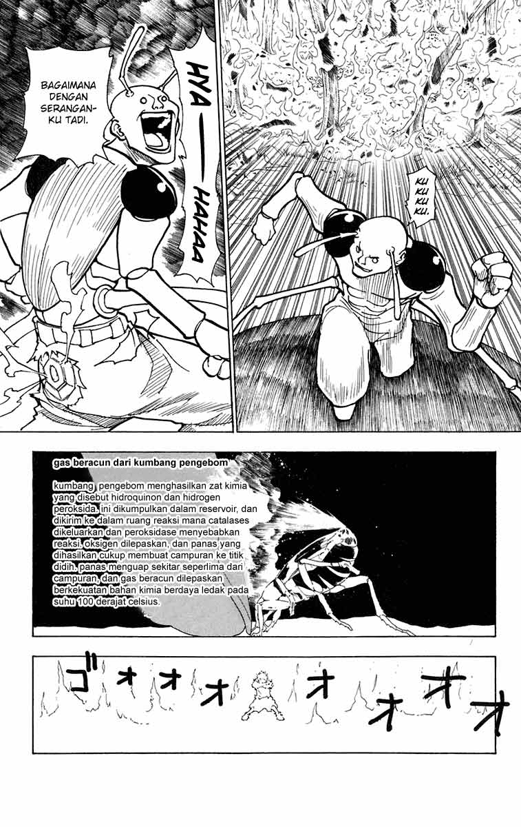 Hunter x Hunter — Chapter 236, halaman 11