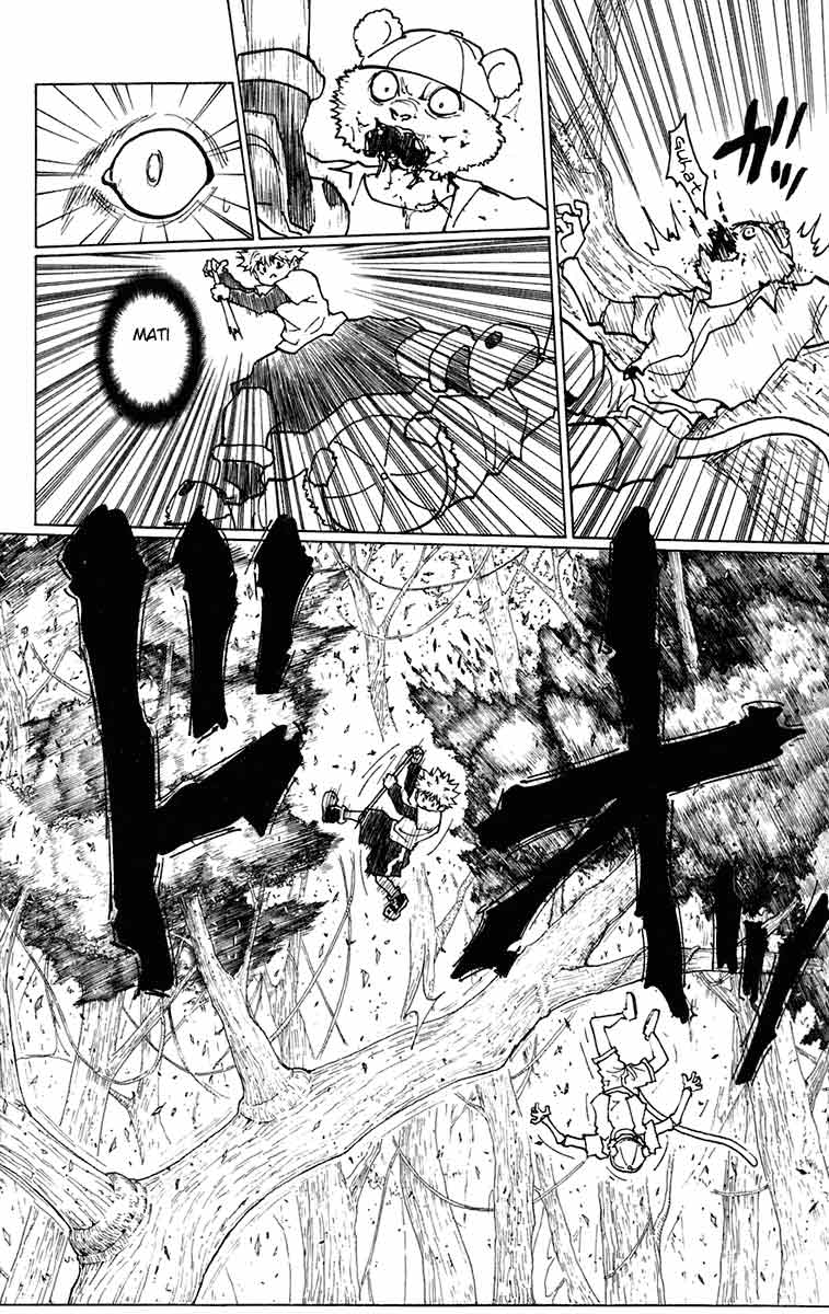Hunter x Hunter — Chapter 236, halaman 8