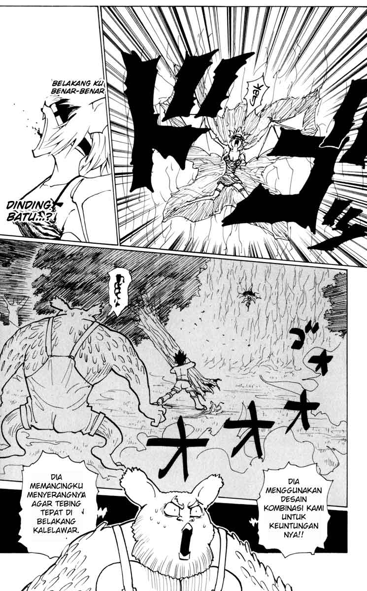 Hunter x Hunter — Chapter 233, halaman 11