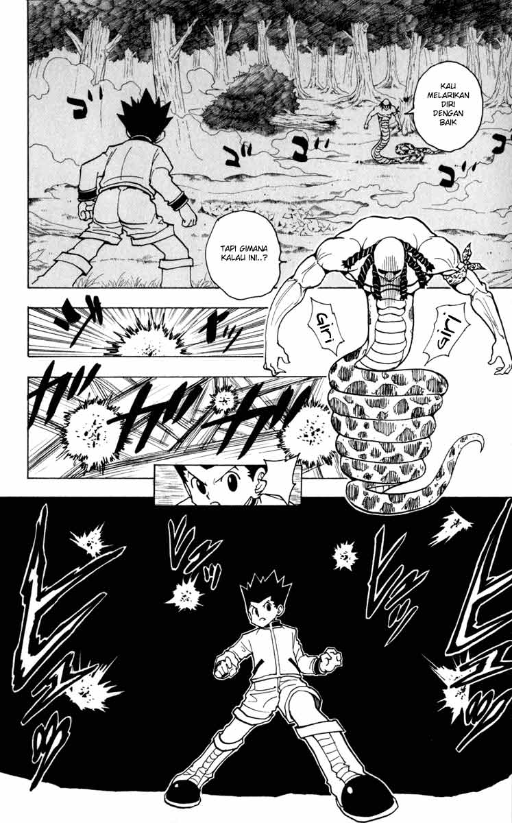 Hunter x Hunter — Chapter 231, halaman 10