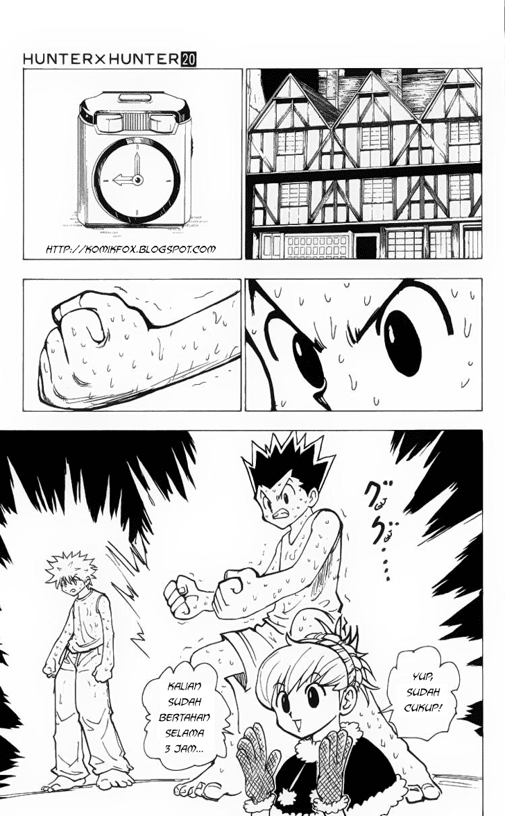 Hunter x Hunter — Chapter 202, halaman 11
