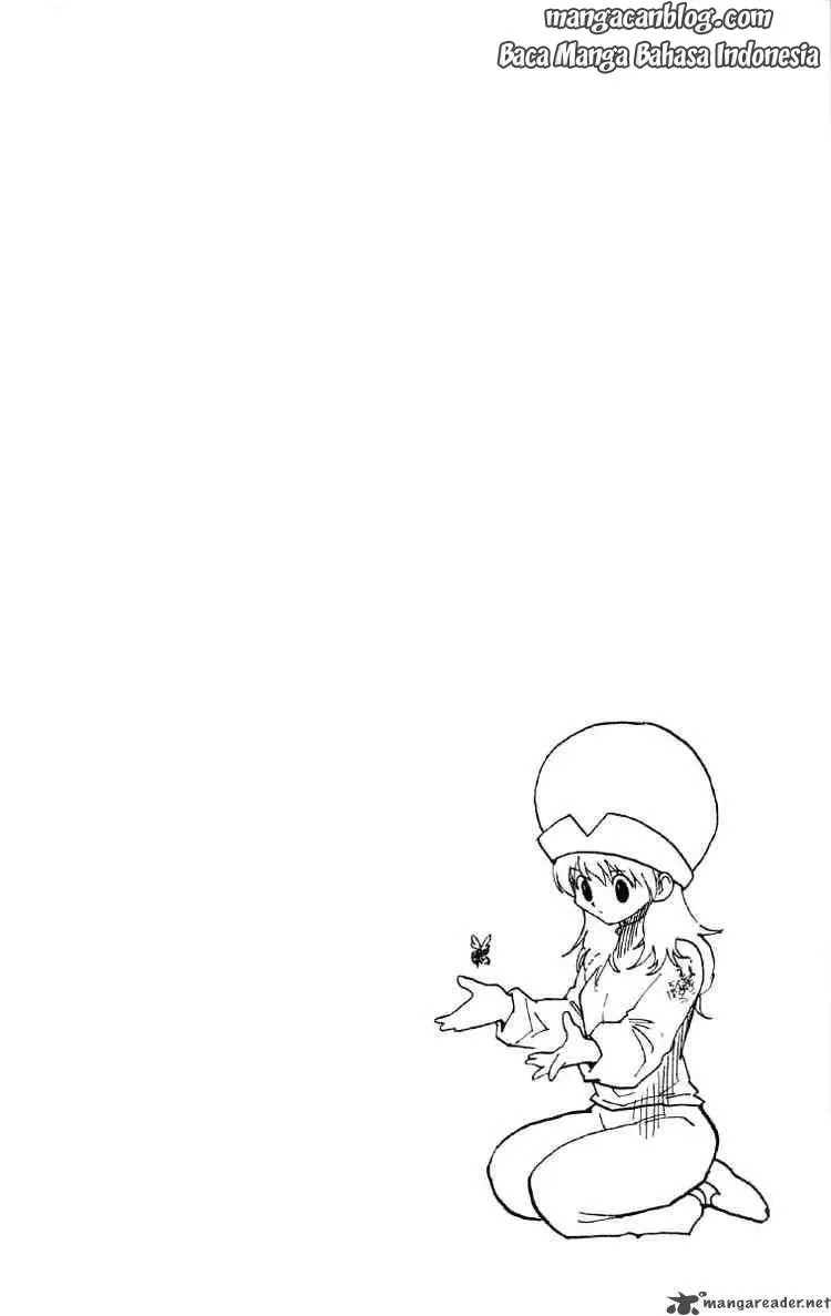 Hunter x Hunter — Chapter 190, halaman 17