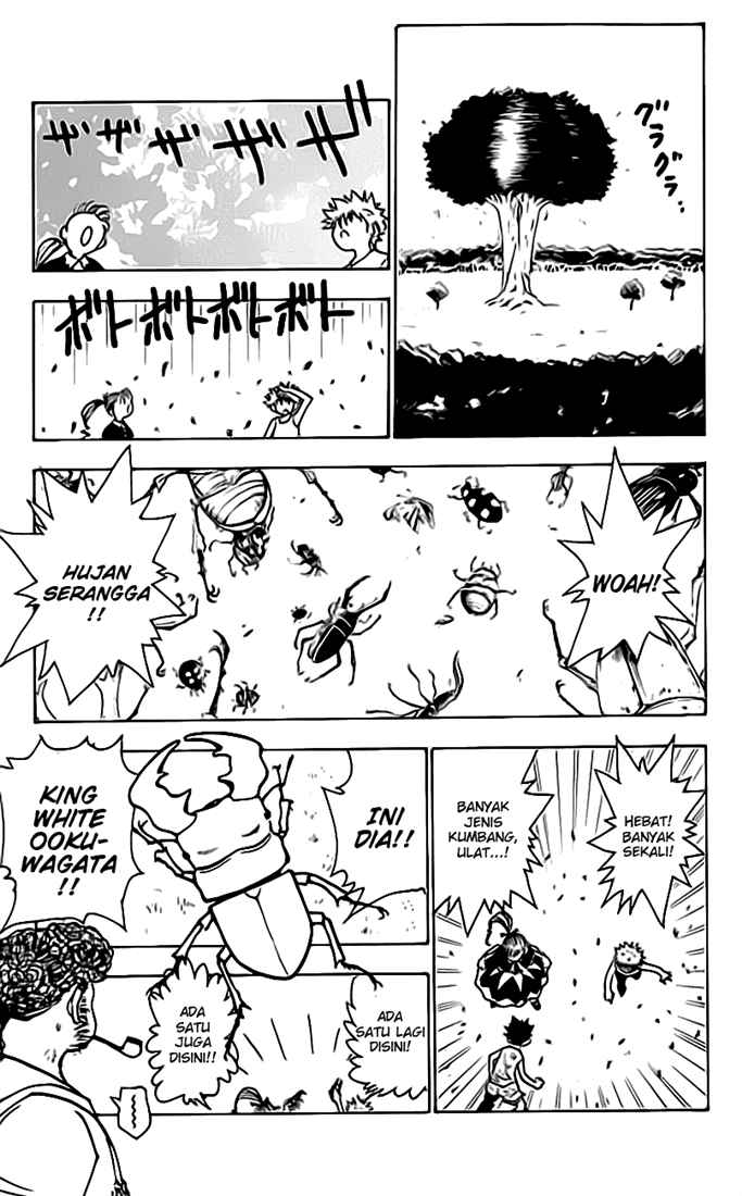 Hunter x Hunter — Chapter 150, halaman 10