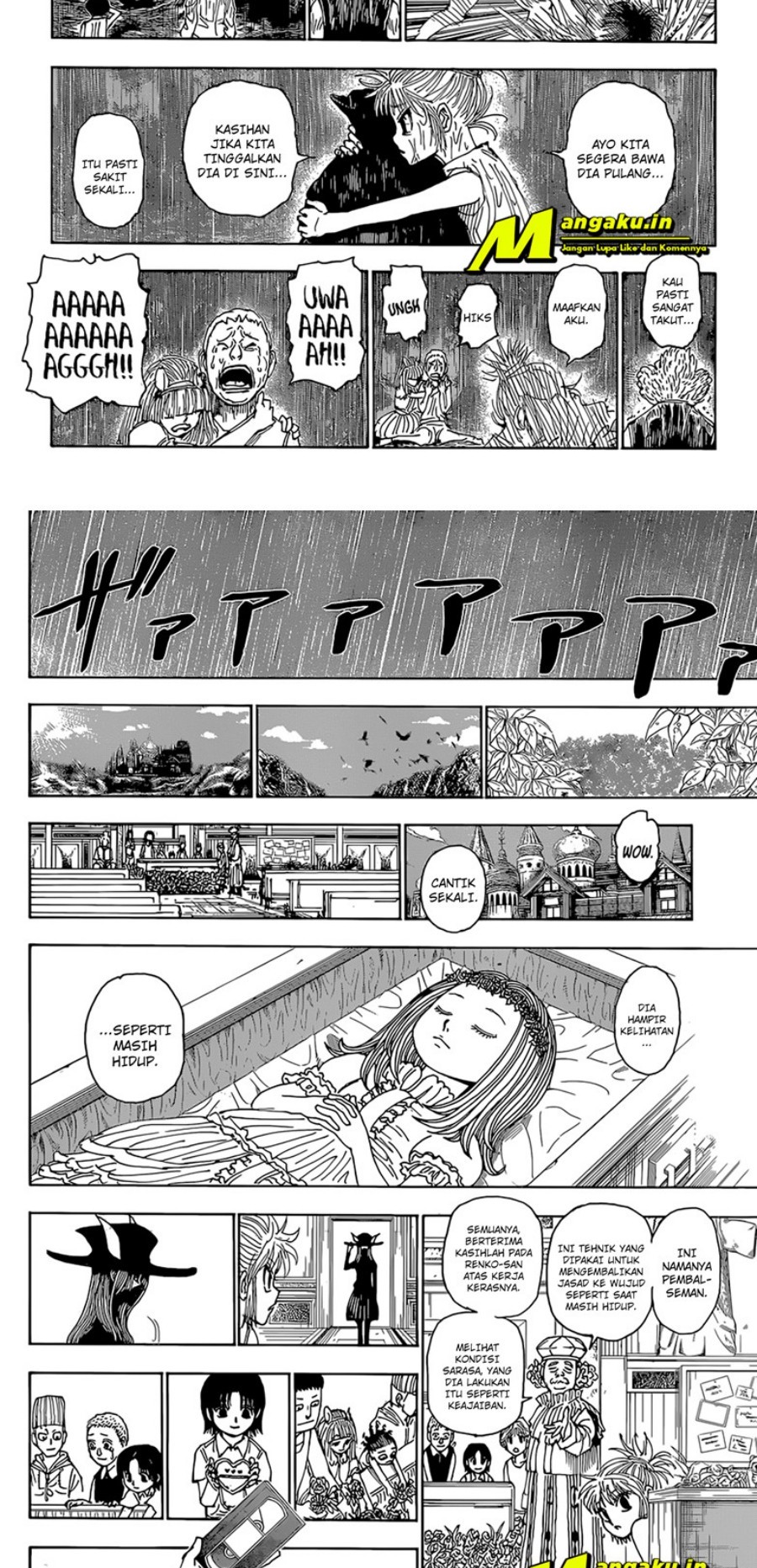 Hunter x Hunter — Chapter 397, halaman 9