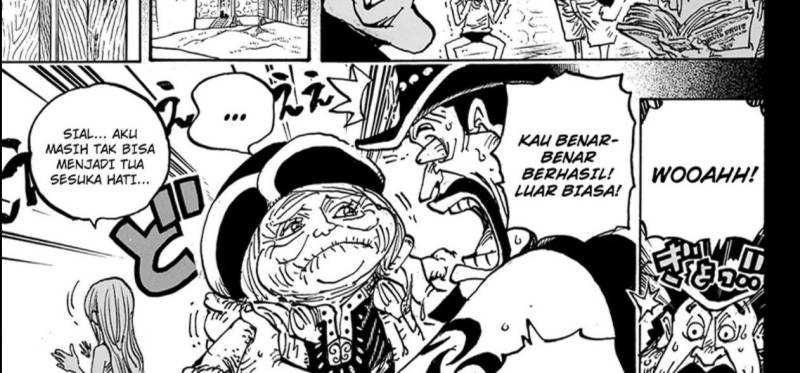 One Piece — Chapter 1099, halaman 17