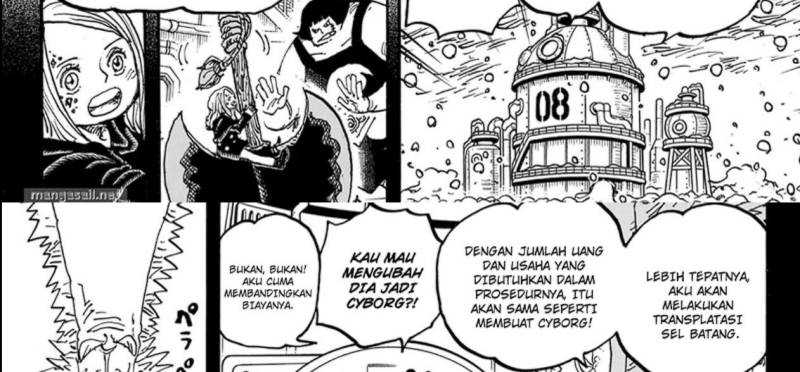 One Piece — Chapter 1099, halaman 41