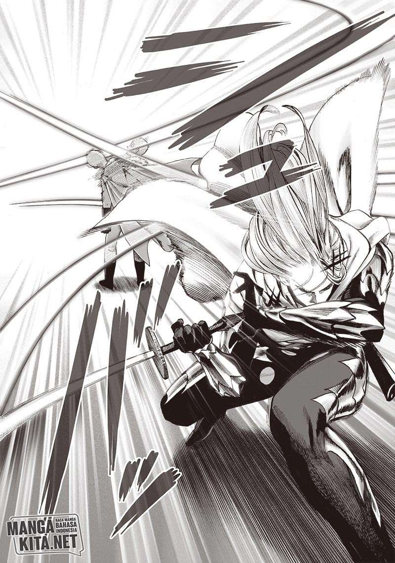 One Punch Man — Chapter 162, halaman 14