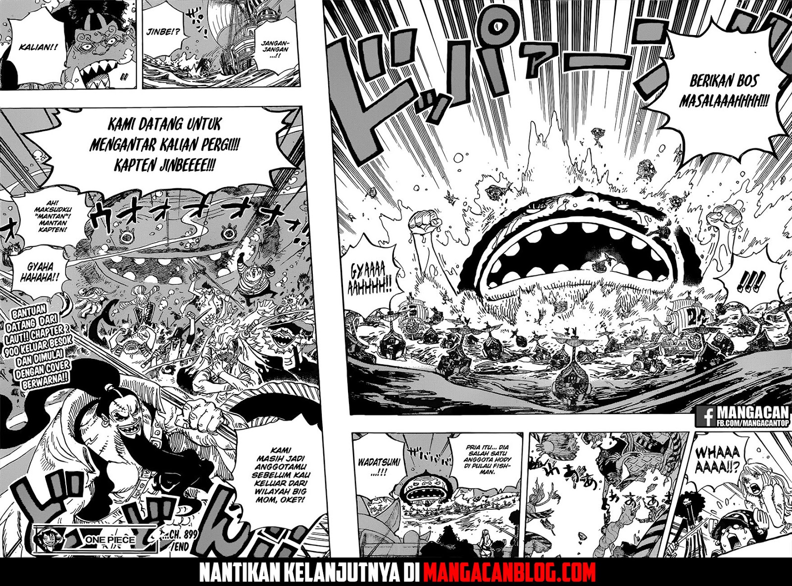 One Piece — Chapter 899, halaman 16