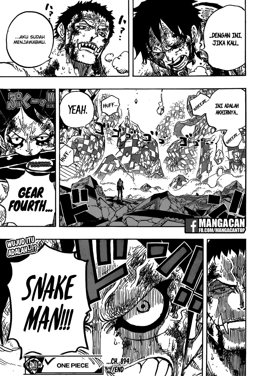 One Piece — Chapter 894, halaman 17