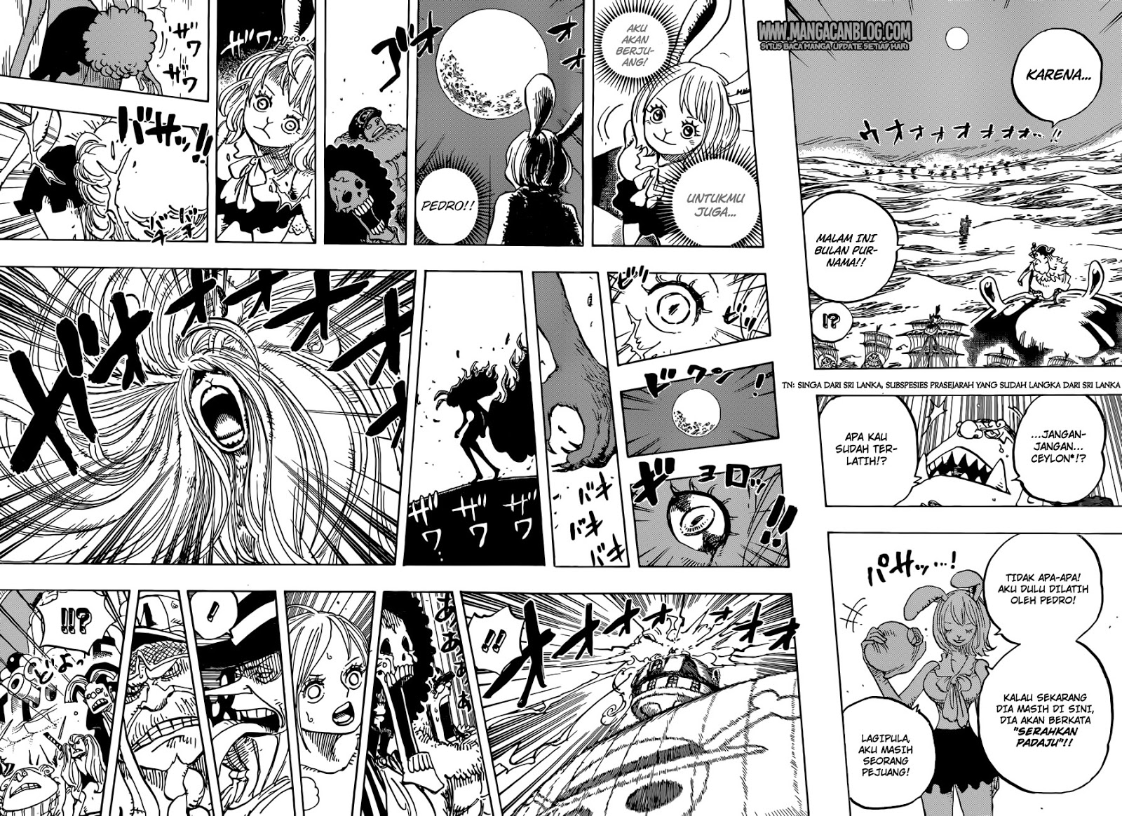 One Piece — Chapter 888, halaman 9