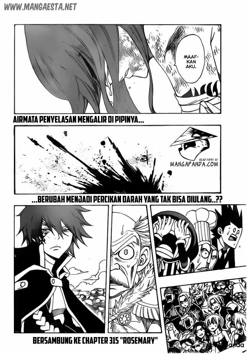 Fairy Tail — Chapter 314, halaman 21