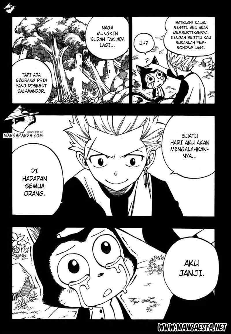 Fairy Tail — Chapter 295, halaman 21