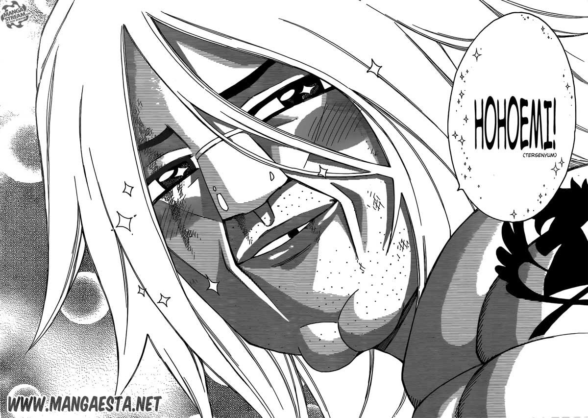 Fairy Tail — Chapter 294, halaman 11