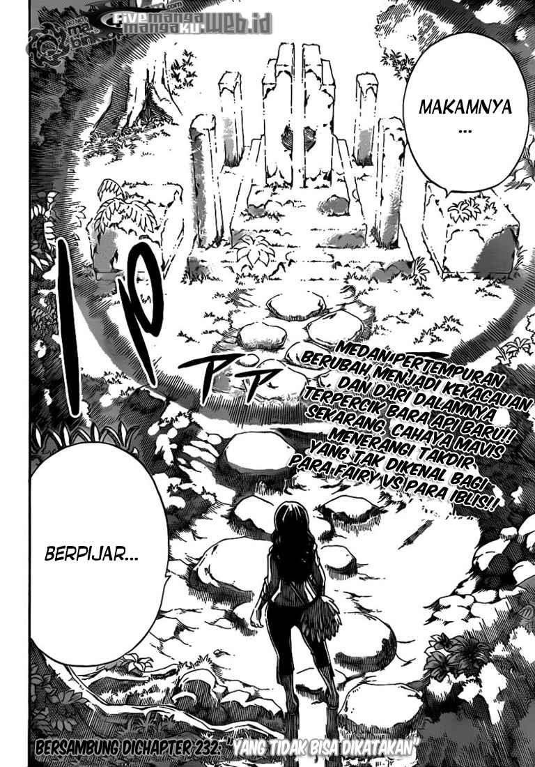 Fairy Tail — Chapter 231, halaman 21