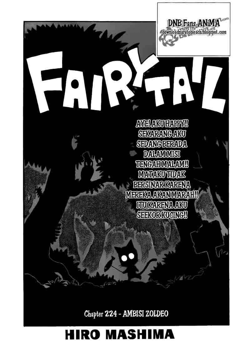Fairy Tail — Chapter 224, halaman 1