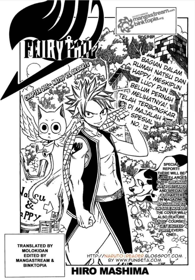 Fairy Tail — Chapter 205, halaman 1