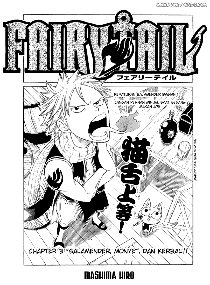 Fairy Tail — Chapter 3, halaman 4