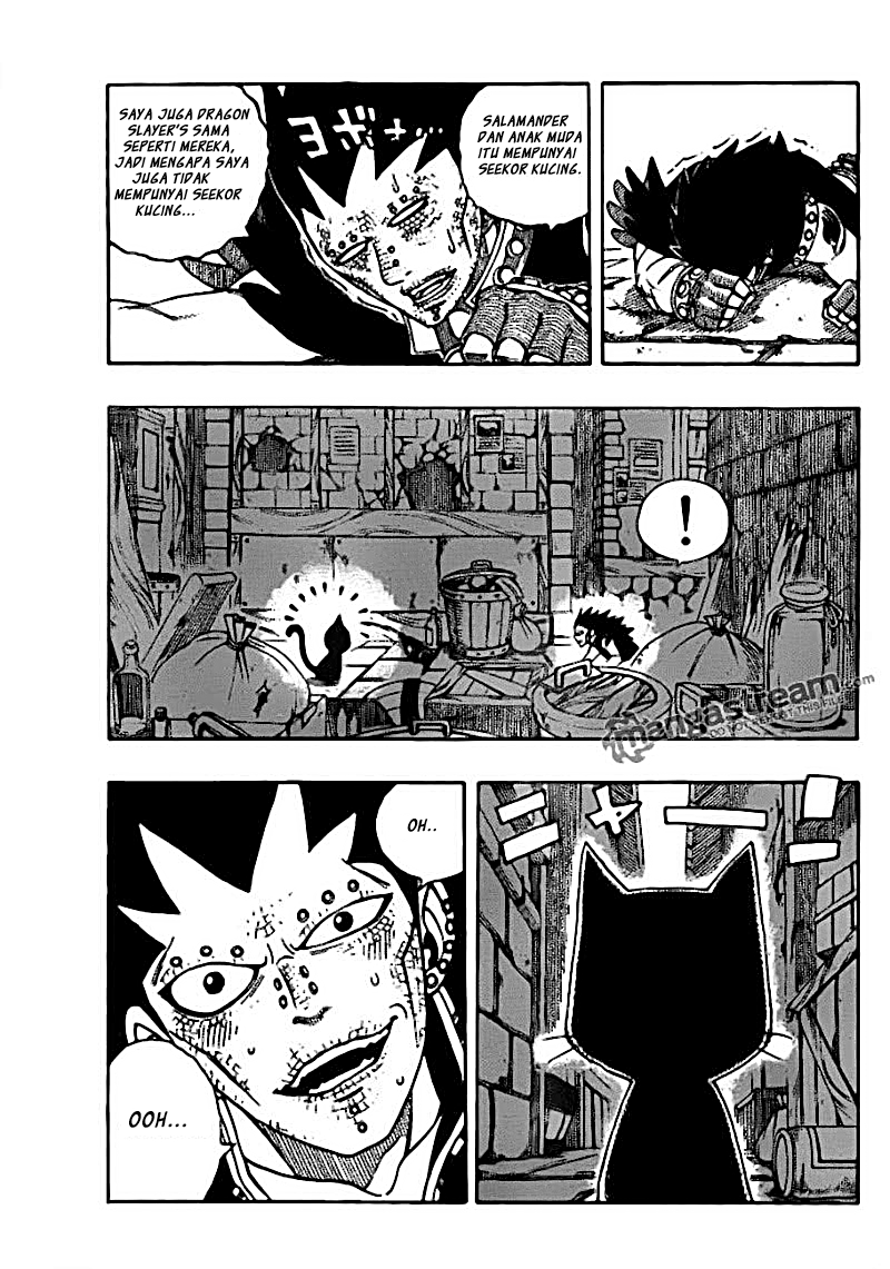 Fairy Tail — Chapter 167, halaman 14