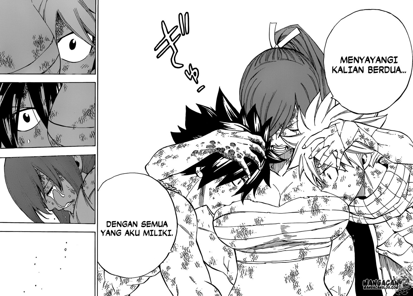 Fairy Tail — Chapter 507, halaman 11