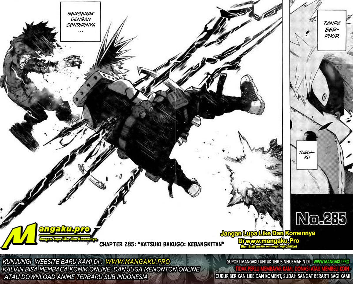 Boku no Hero Academia — Chapter 285, halaman 17