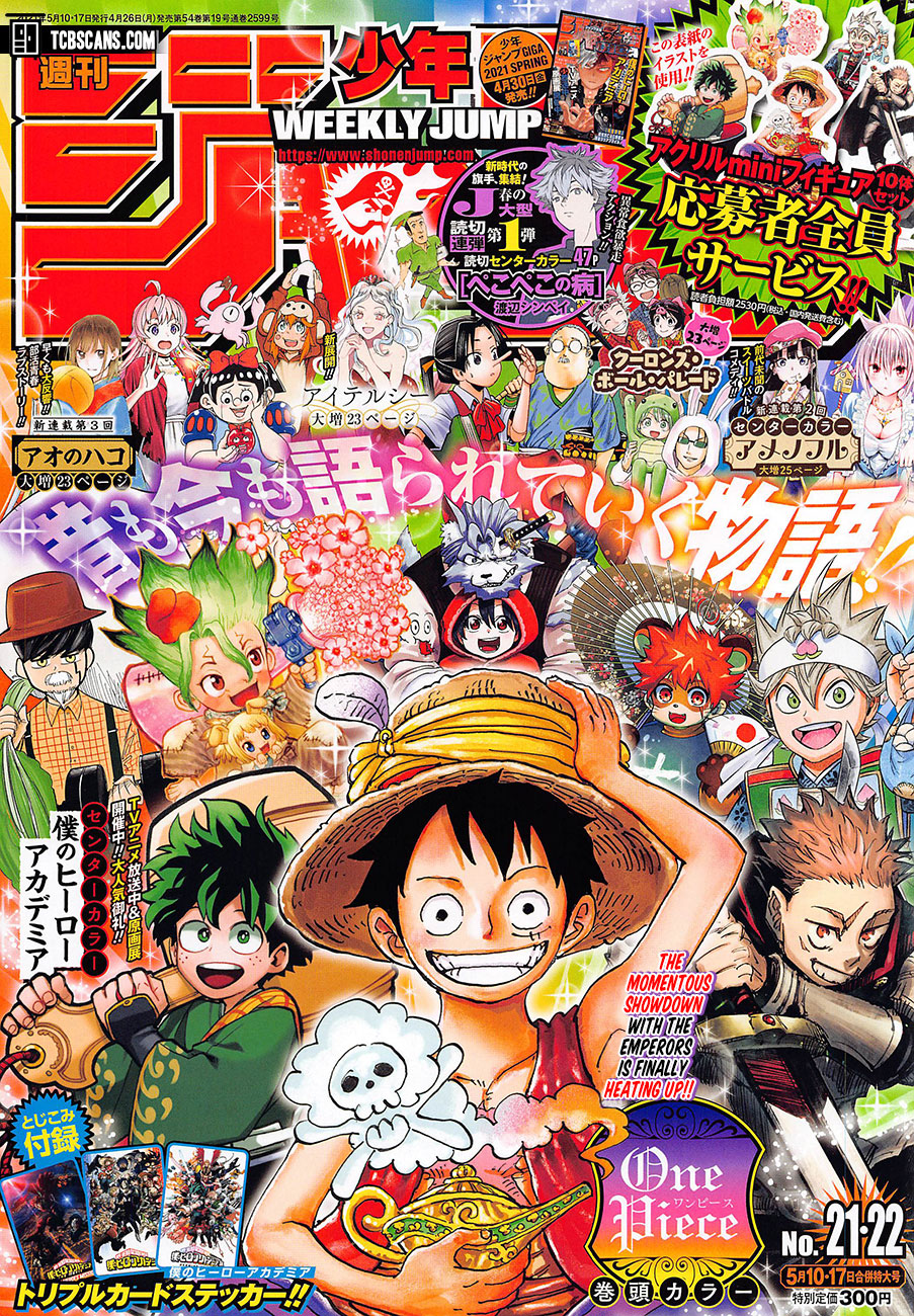 One Piece — Chapter 1011, halaman 1