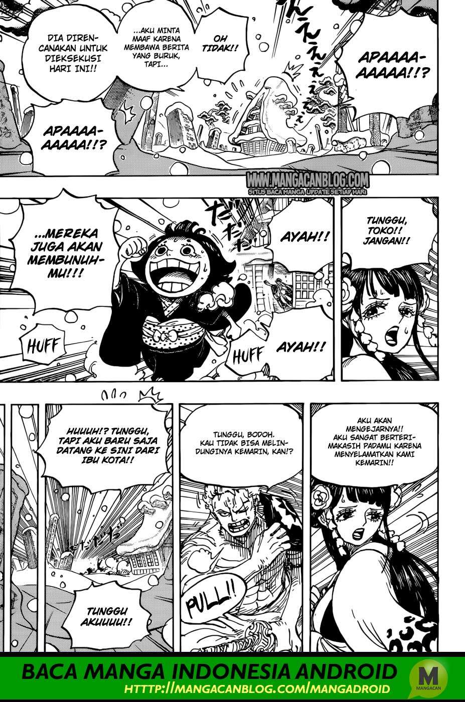 One Piece — Chapter 941, halaman 14