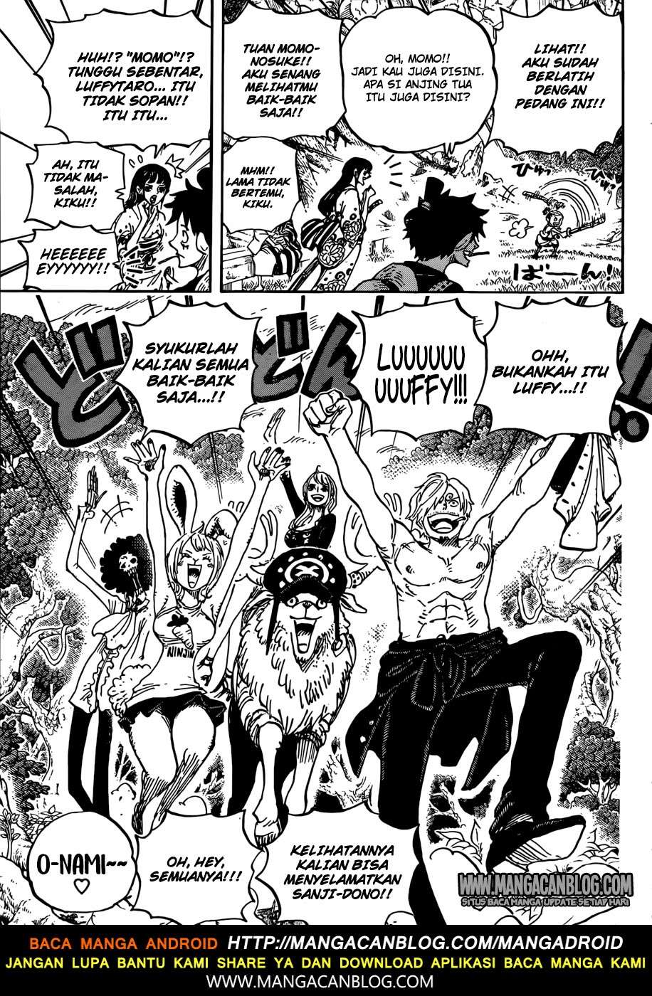One Piece — Chapter 919, halaman 14