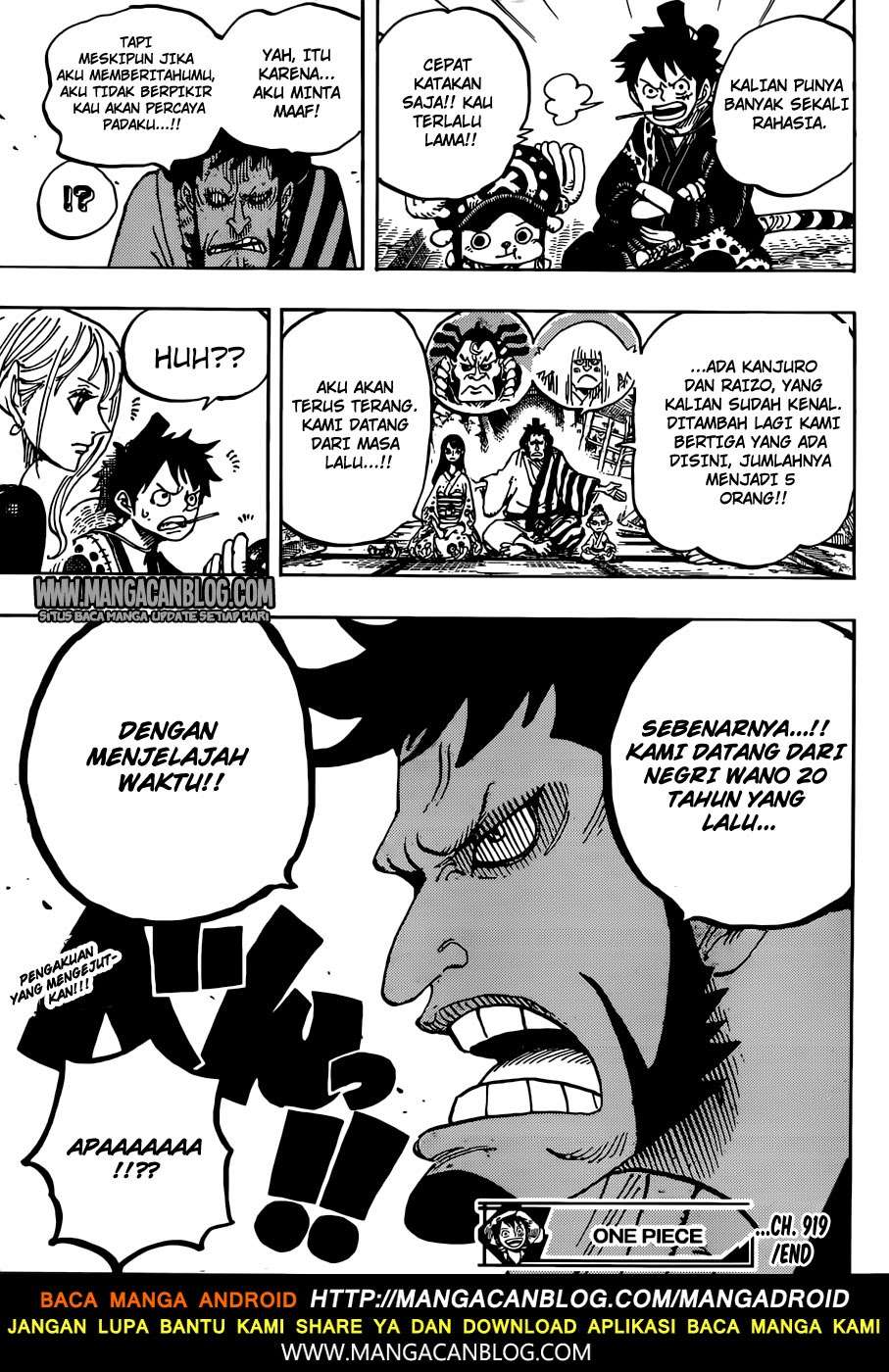 One Piece — Chapter 919, halaman 16