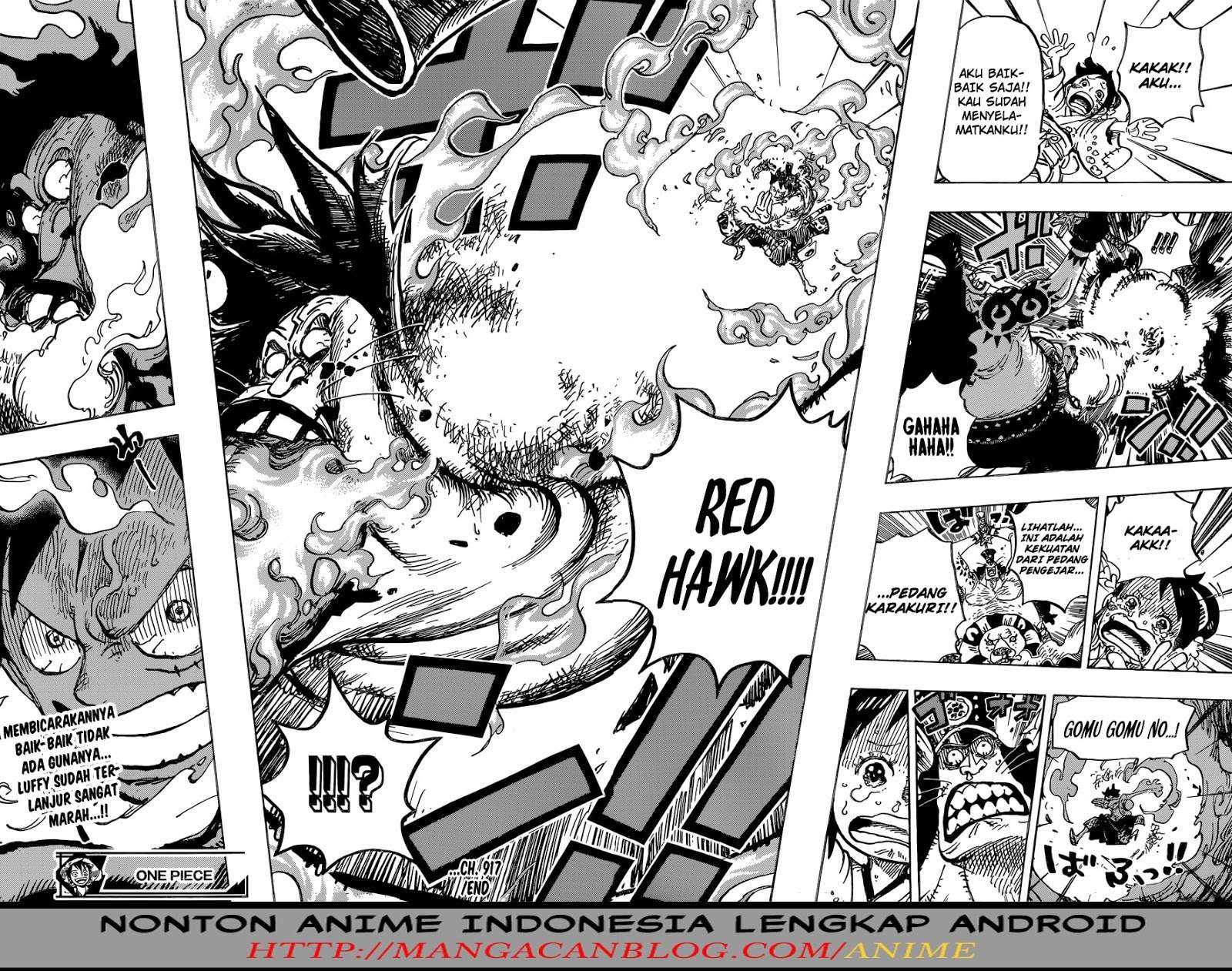 One Piece — Chapter 917, halaman 16
