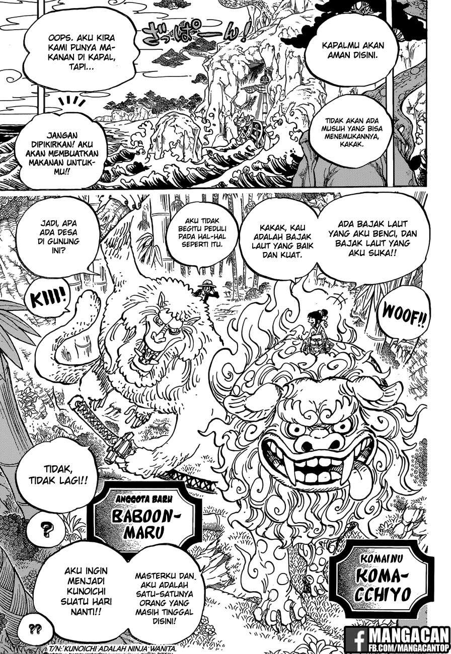 One Piece — Chapter 911, halaman 13