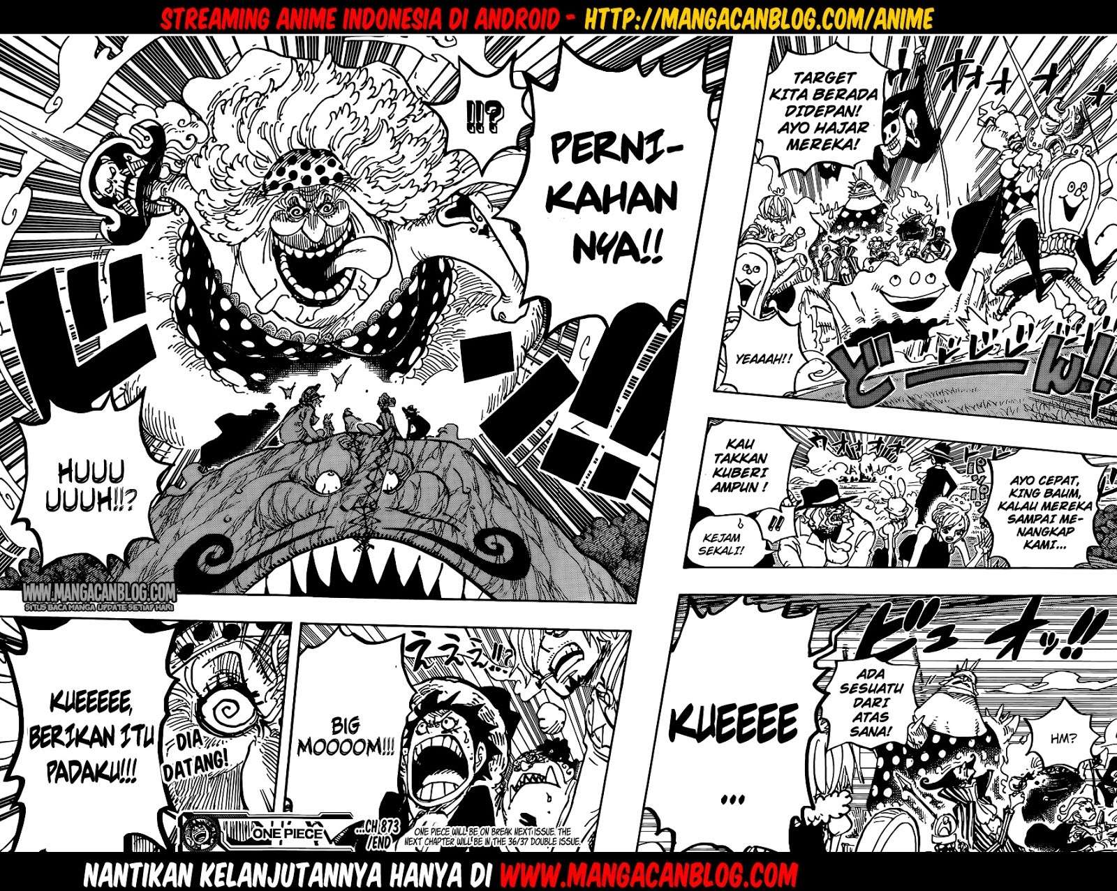One Piece — Chapter 873, halaman 17