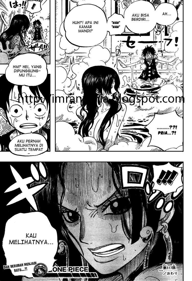 One Piece — Chapter 517, halaman 19