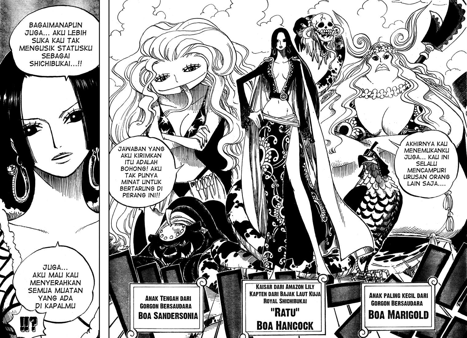 One Piece — Chapter 516, halaman 11