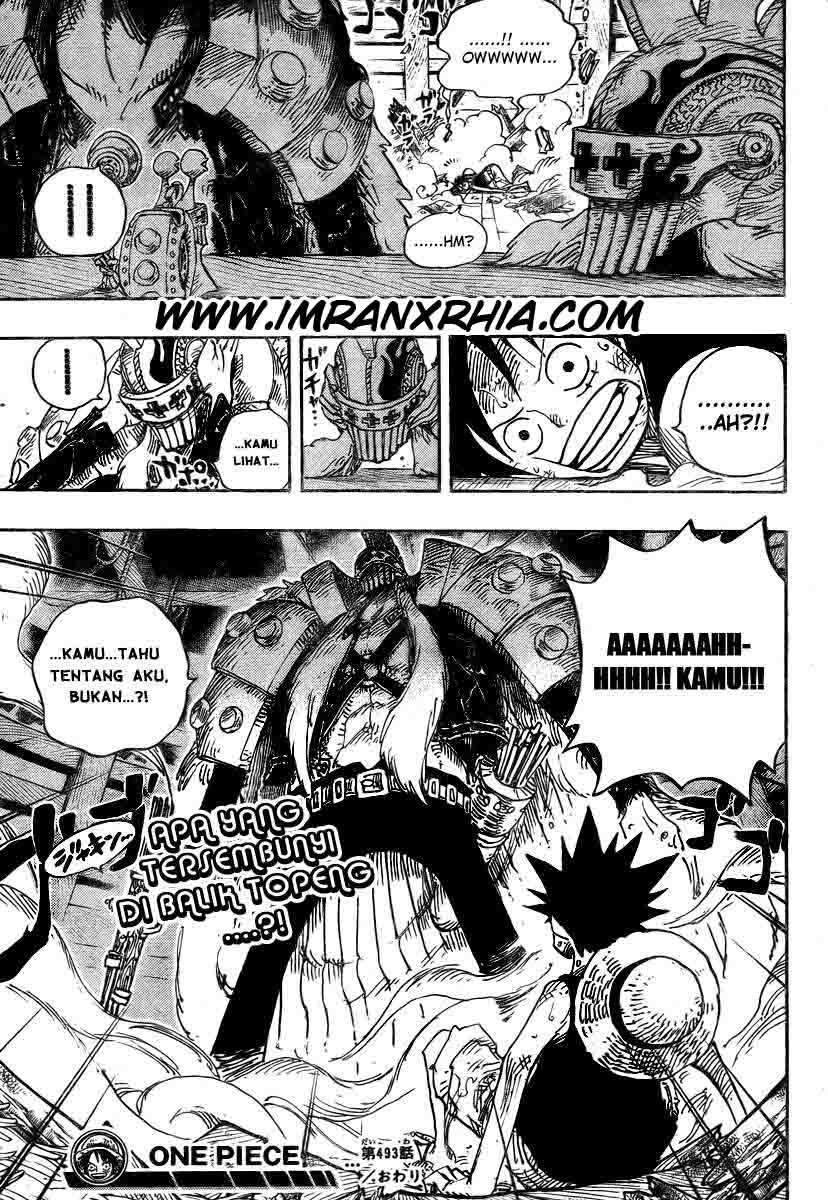 One Piece — Chapter 493, halaman 19